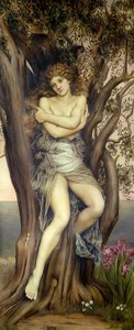 The Dryad, 1884-85